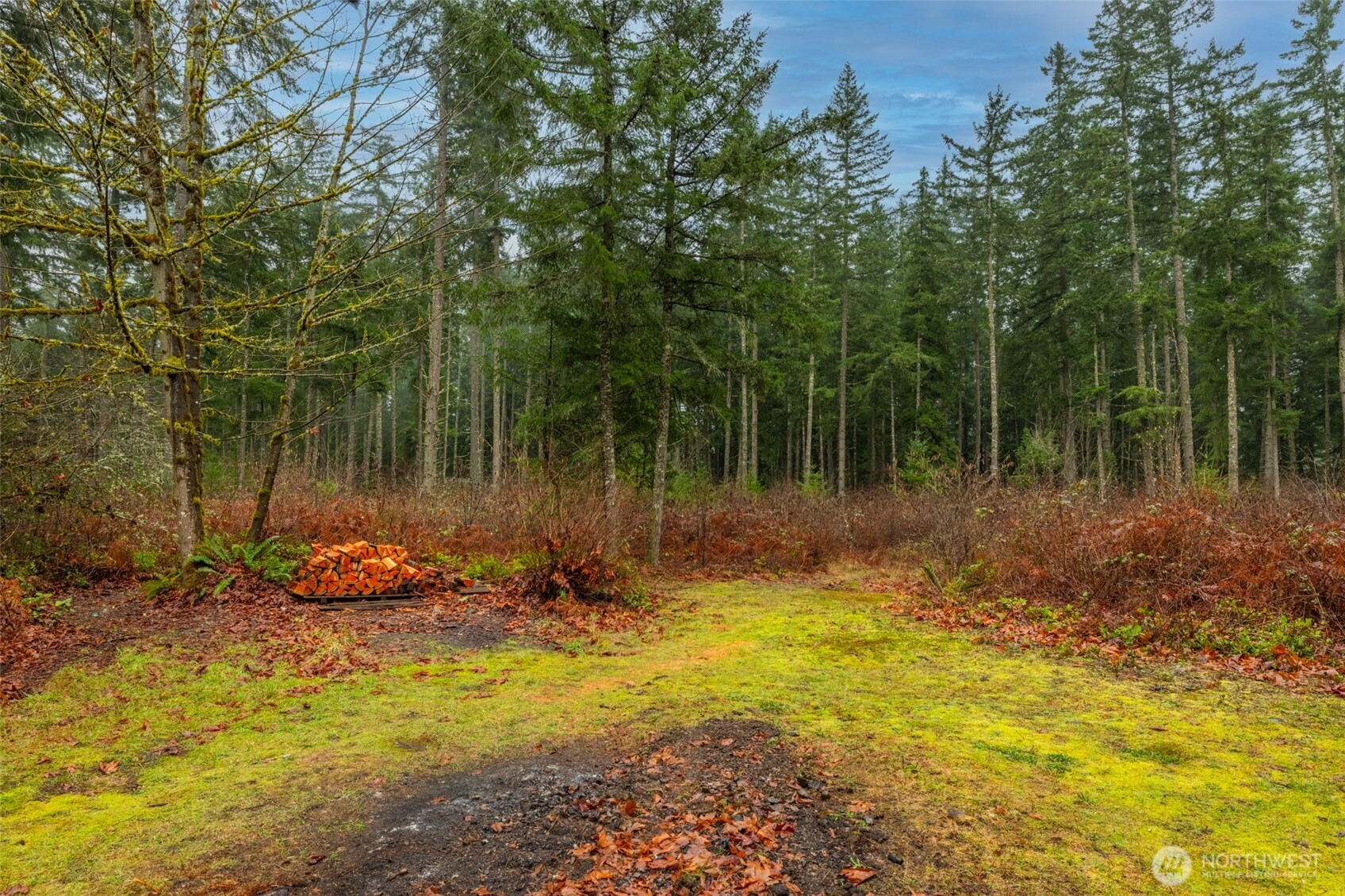 31444 172nd Ave SE , Auburn, WA 98092