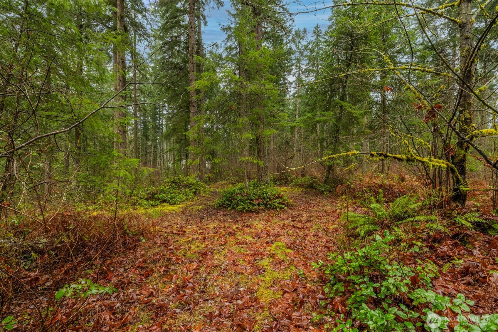 31444 172nd Ave SE , Auburn, WA 98092