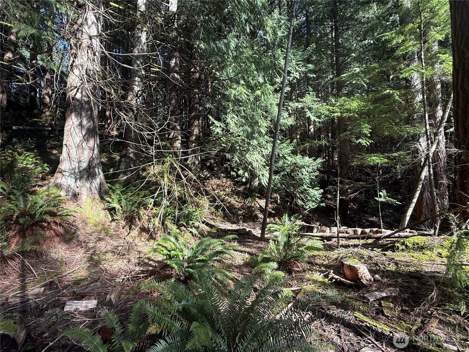 14 Granite Circle , Bellingham, WA 98229