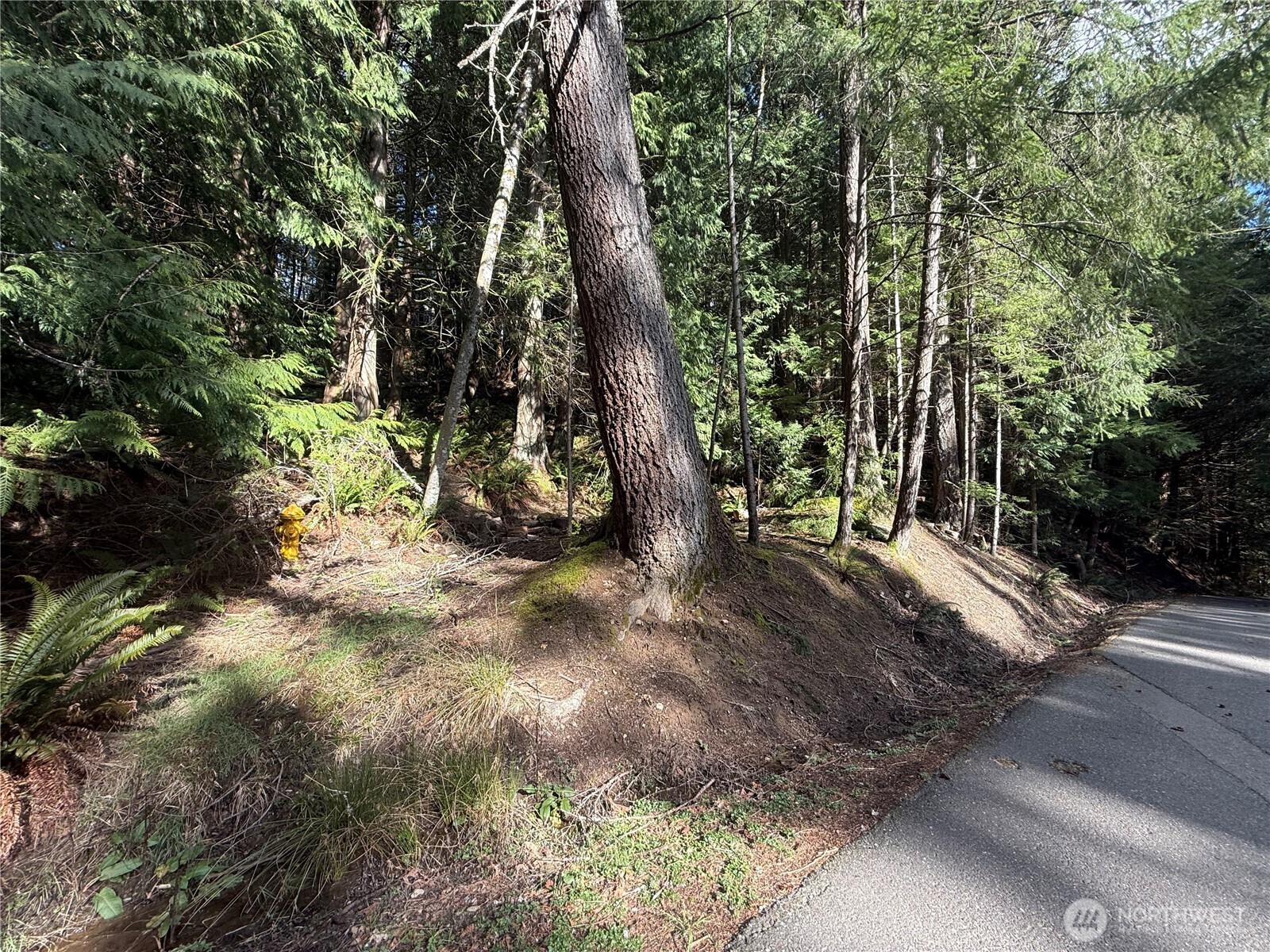 14 Granite Circle , Bellingham, WA 98229