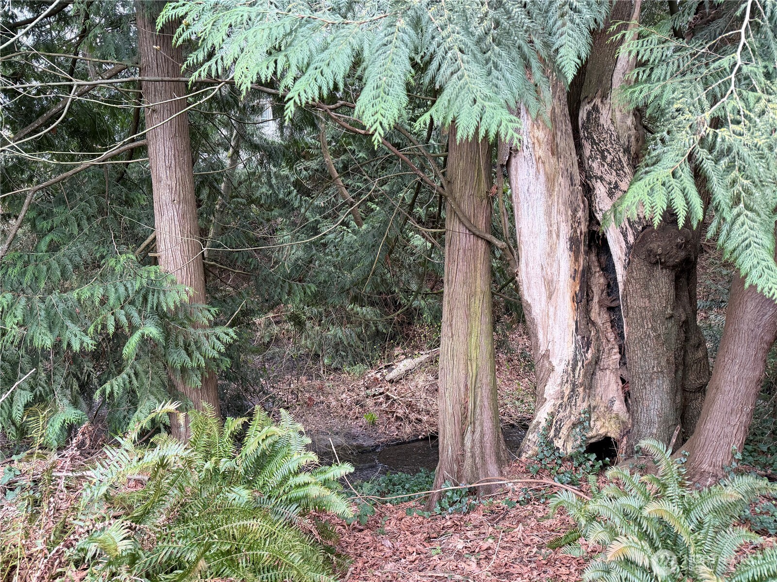 1200 N 12th Place , Mount Vernon, WA 98273