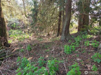 12 W Gedney Way , Hat Island, WA 98206 - Photo 3