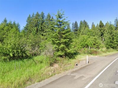 188 S Bank Road , Elma, WA 98541 - Photo 20