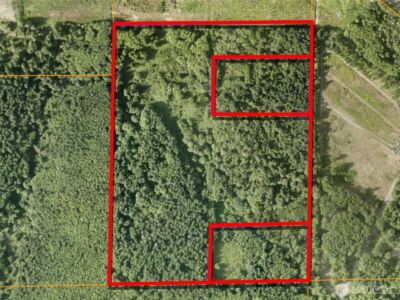 188 S Bank Road , Elma, WA 98541 - Photo 31