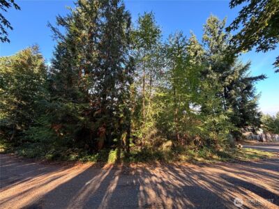 17745 SE Vine Lane , Yelm, WA 98597 - Photo 1