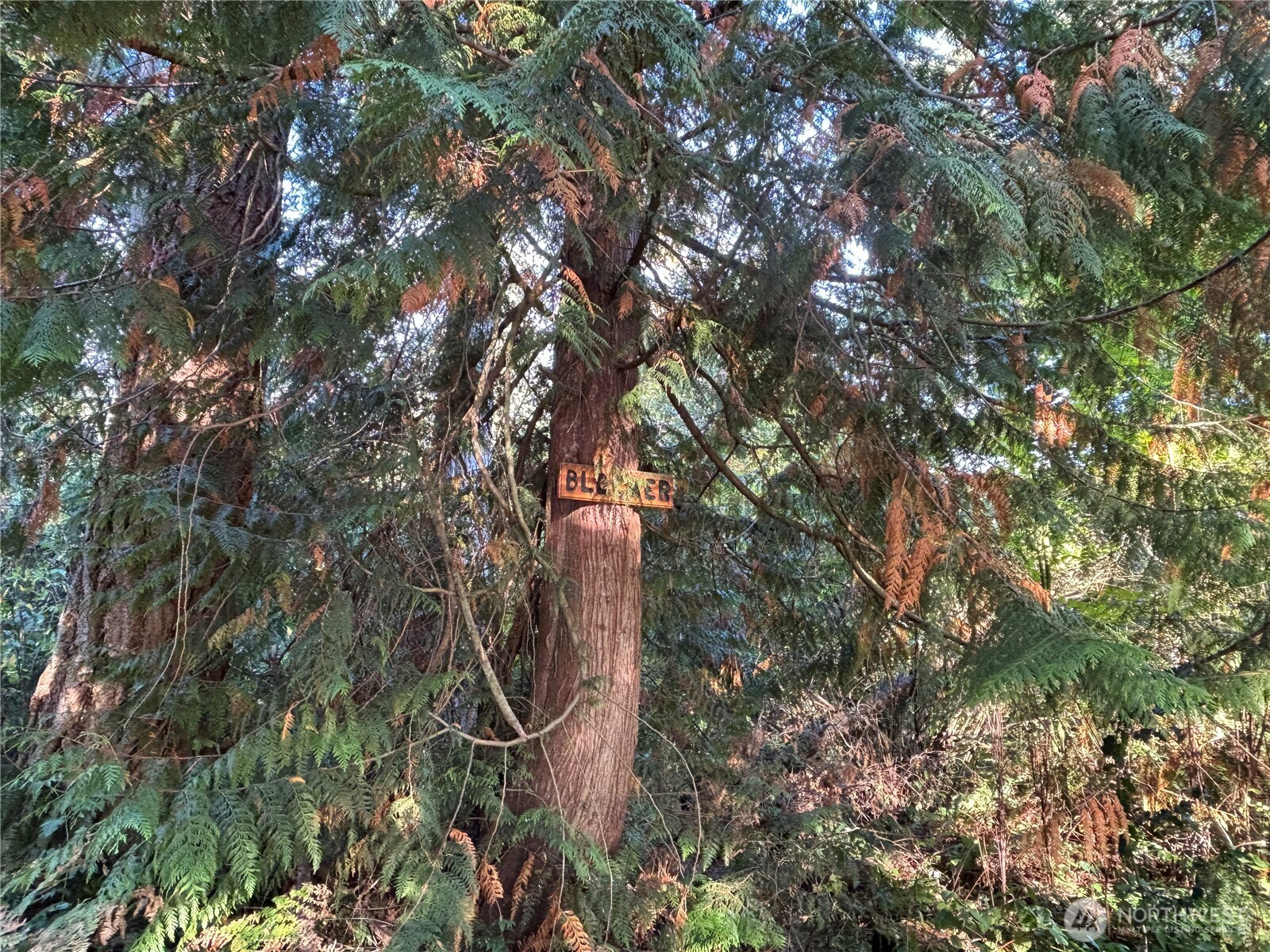 17745 SE Vine Lane , Yelm, WA 98597