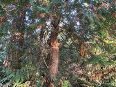 17745 SE Vine Lane , Yelm, WA 98597 - Photo 3