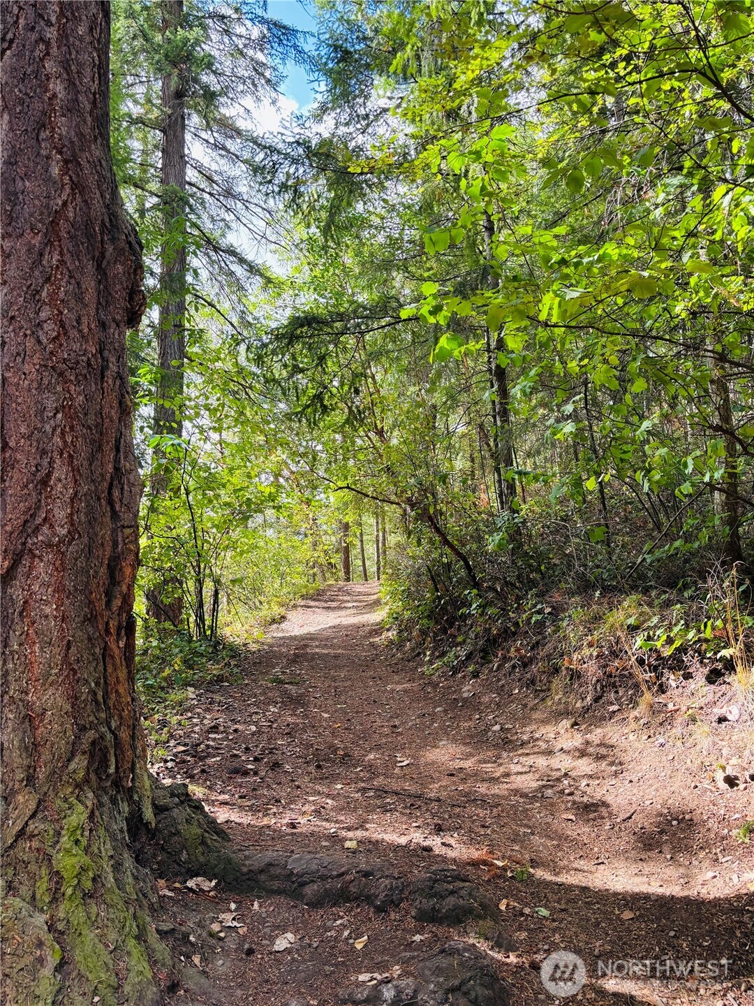 17745 SE Vine Lane , Yelm, WA 98597