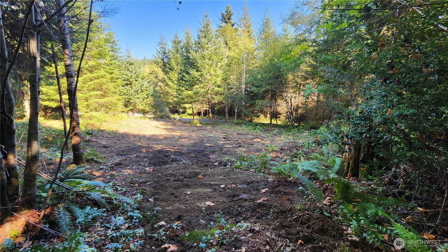 5728 Duane Lane NW, Olympia, WA 98502