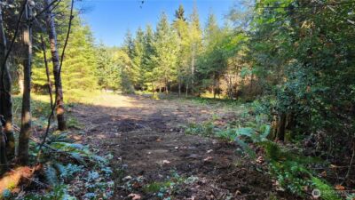 5728 Duane Lane NW, Olympia, WA 98502 - Photo 12