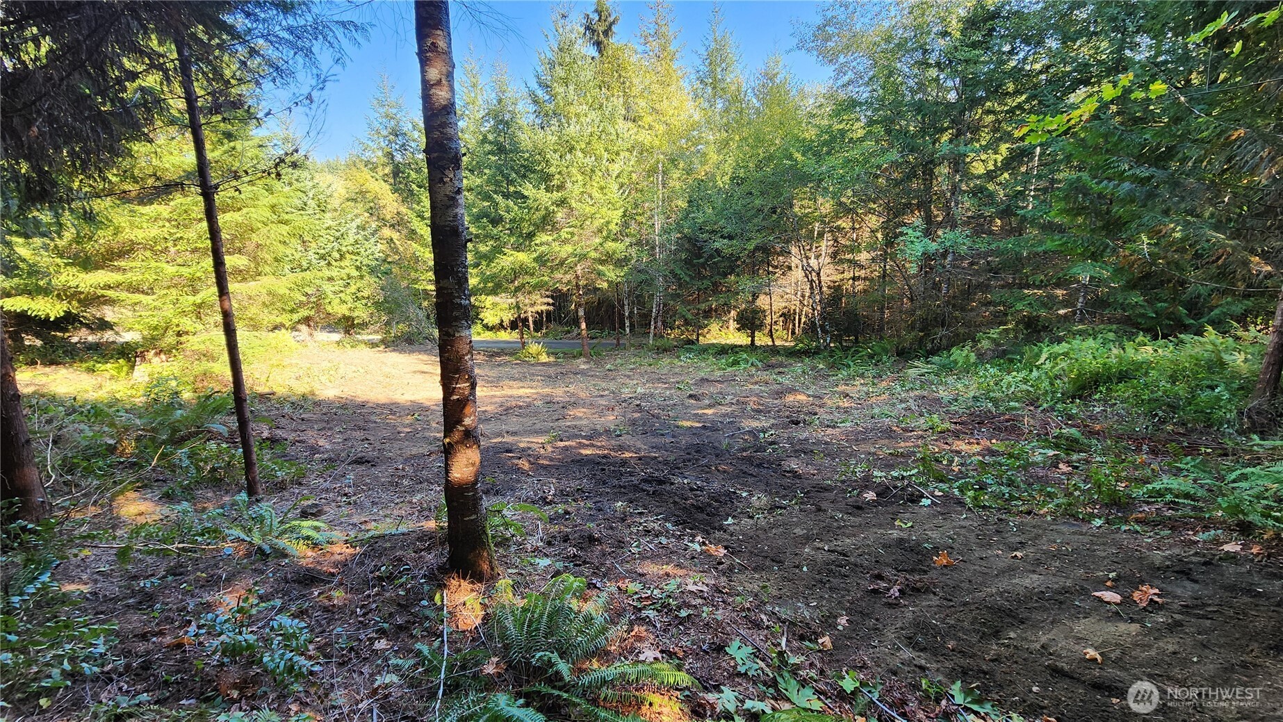 5728 Duane Lane NW, Olympia, WA 98502