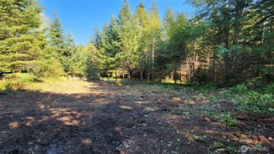 5728 Duane Lane NW, Olympia, WA 98502 - Photo 10