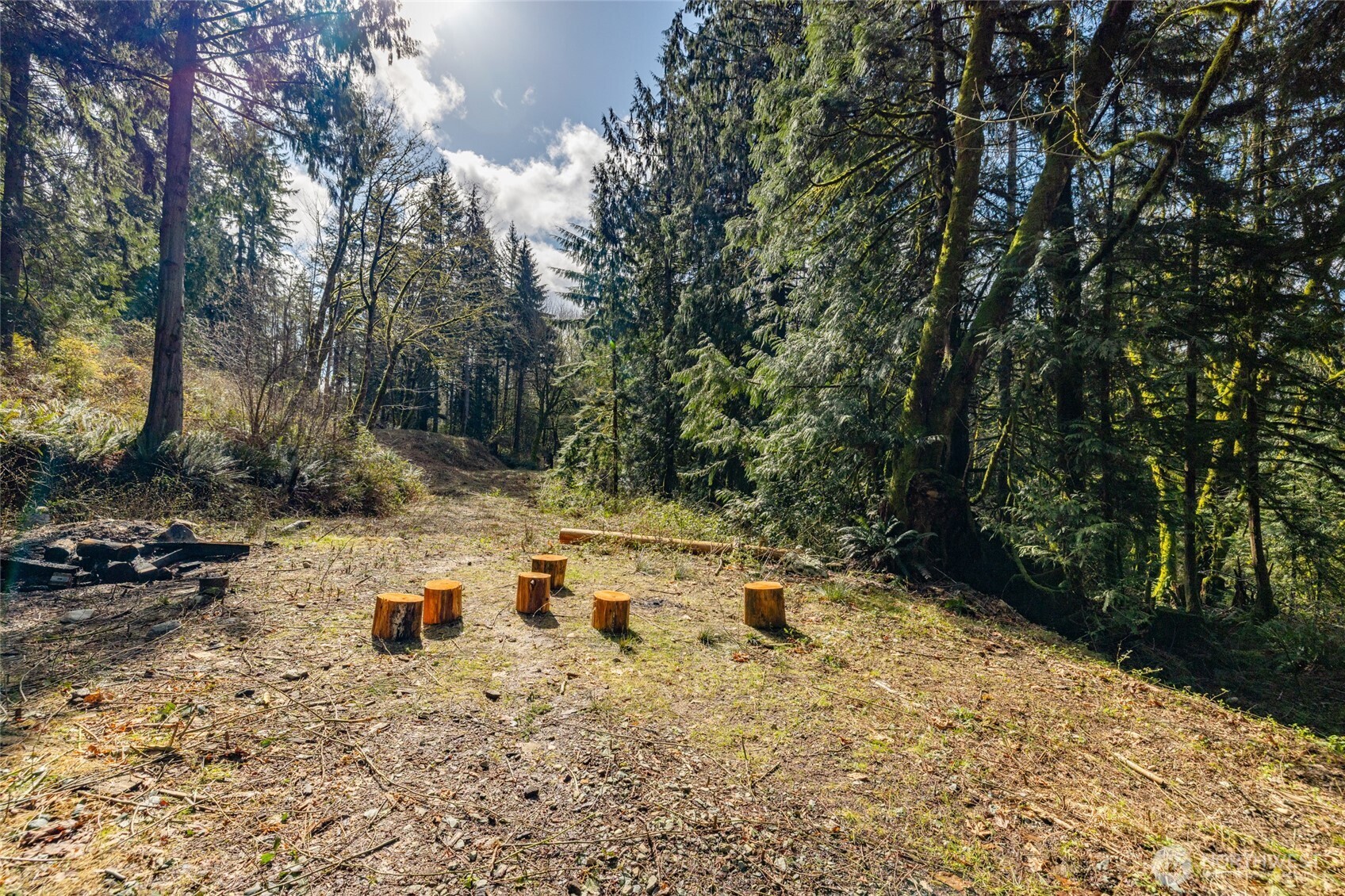 29631 124th Avenue NE, Arlington, WA 98223