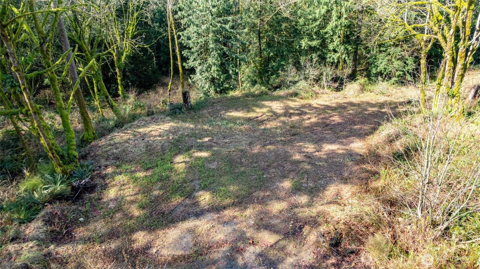 29631 124th Avenue NE, Arlington, WA 98223