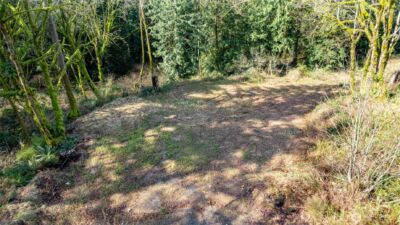 29631 124th Avenue NE, Arlington, WA 98223 - Photo 4