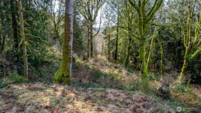 29631 124th Avenue NE, Arlington, WA 98223 - Photo 5