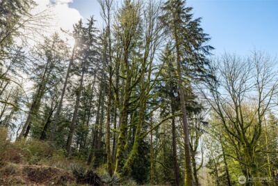 29631 124th Avenue NE, Arlington, WA 98223 - Photo 8