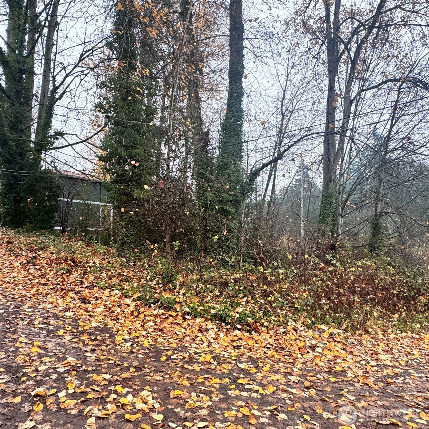 5901 S Fountain Street , Seattle, WA 98178