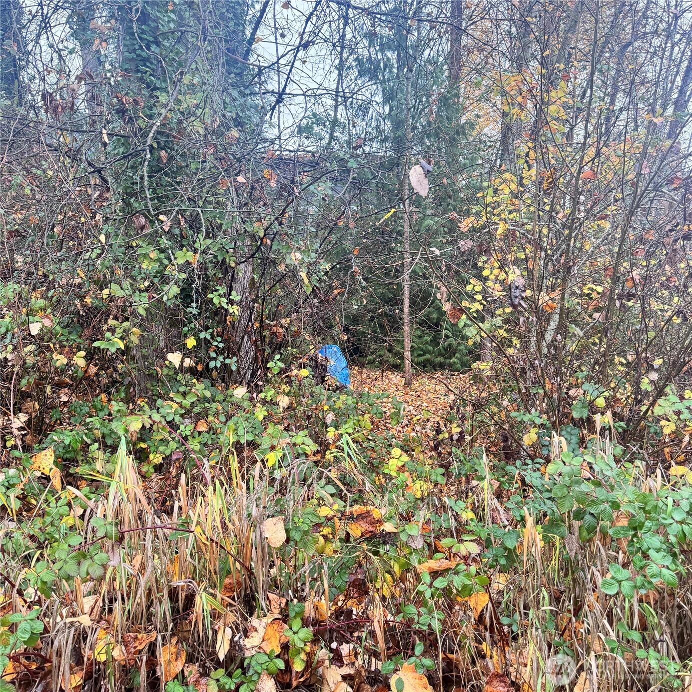 5901 S Fountain Street , Seattle, WA 98178