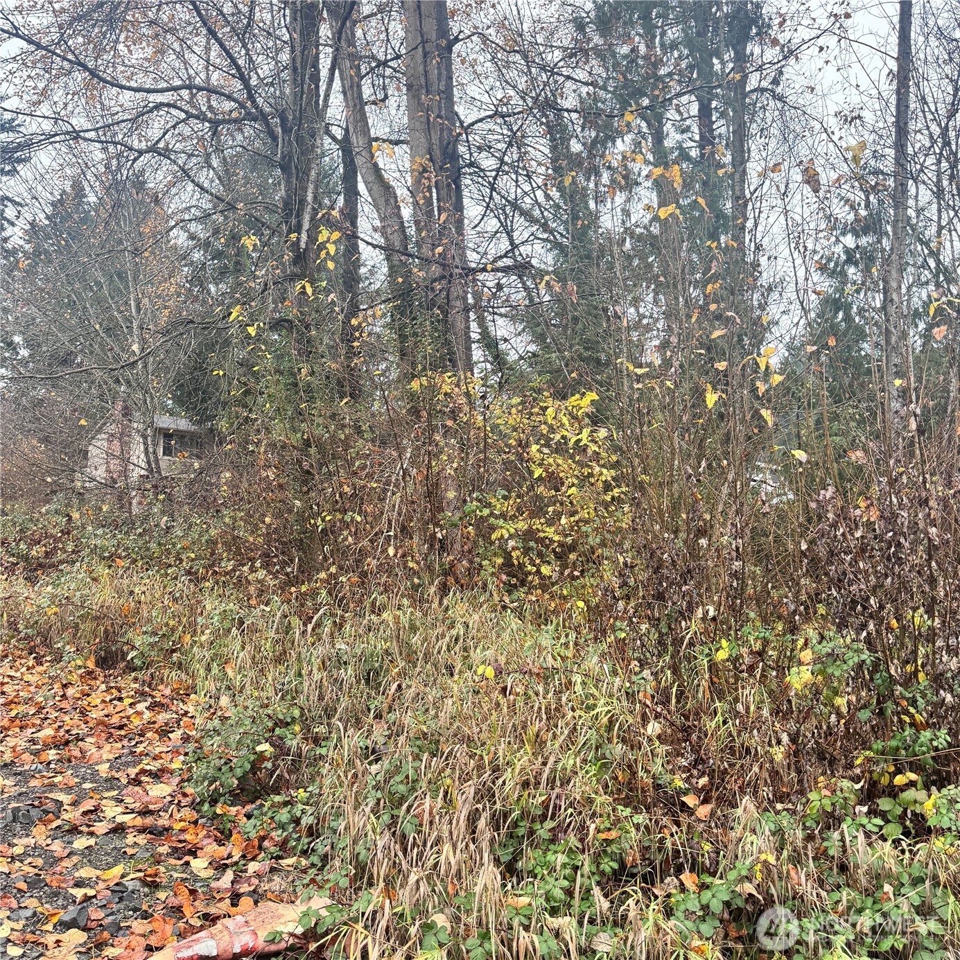 5901 S Fountain Street , Seattle, WA 98178