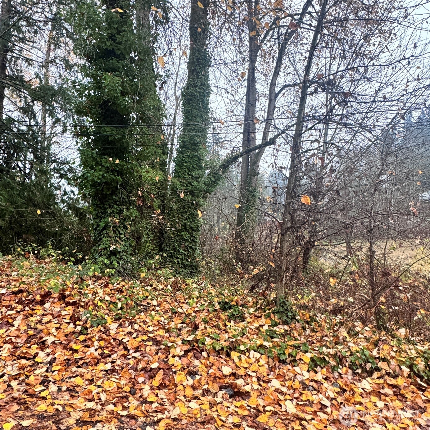 5901 S Fountain Street , Seattle, WA 98178