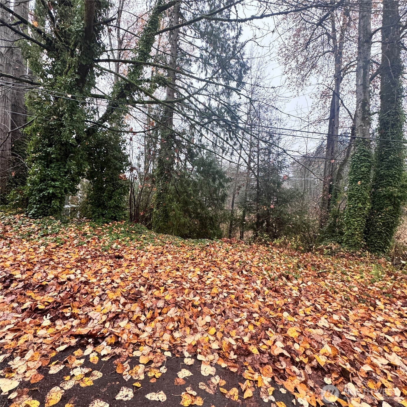 5901 S Fountain Street , Seattle, WA 98178