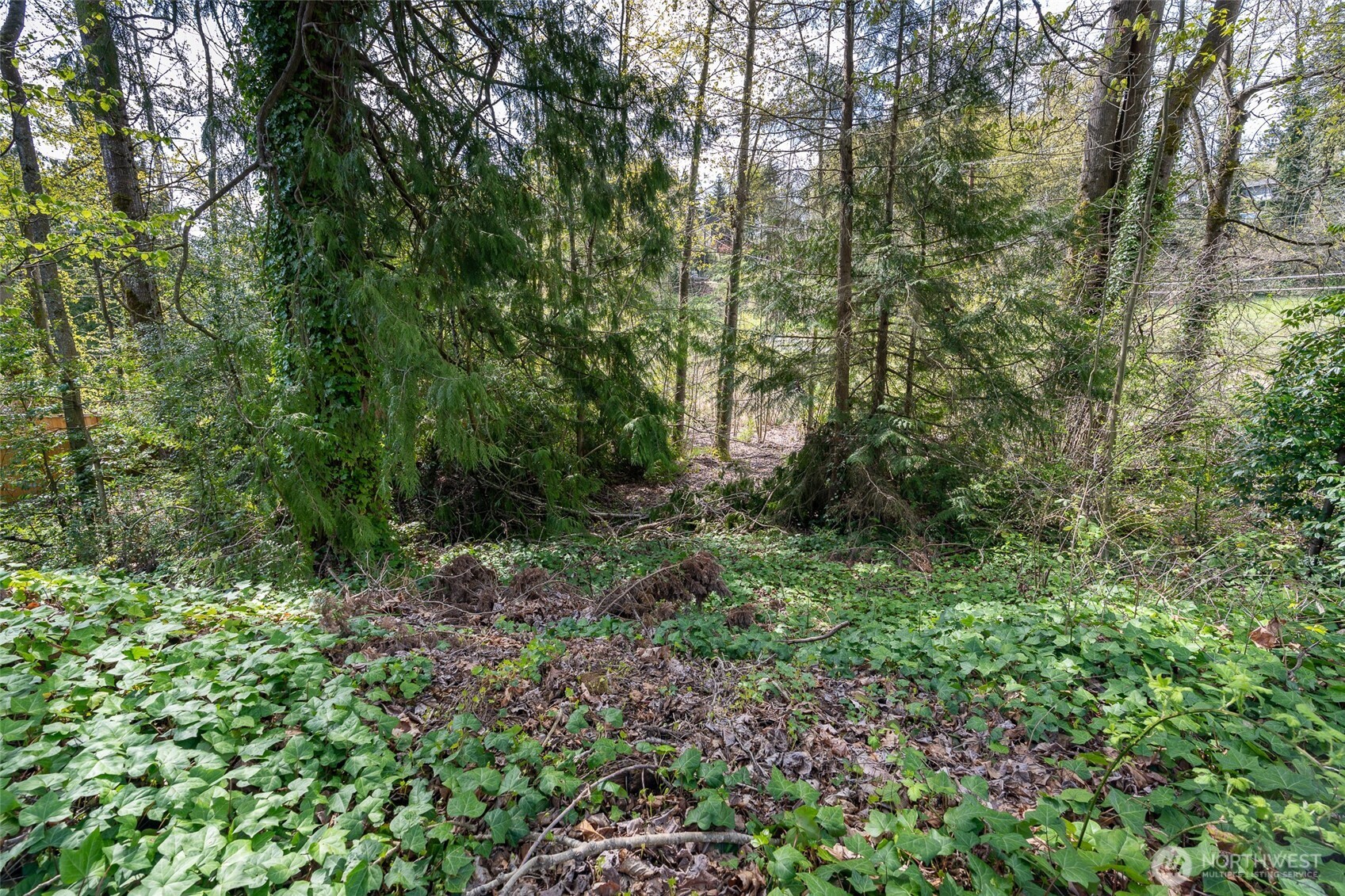 5901 S Fountain Street , Seattle, WA 98178