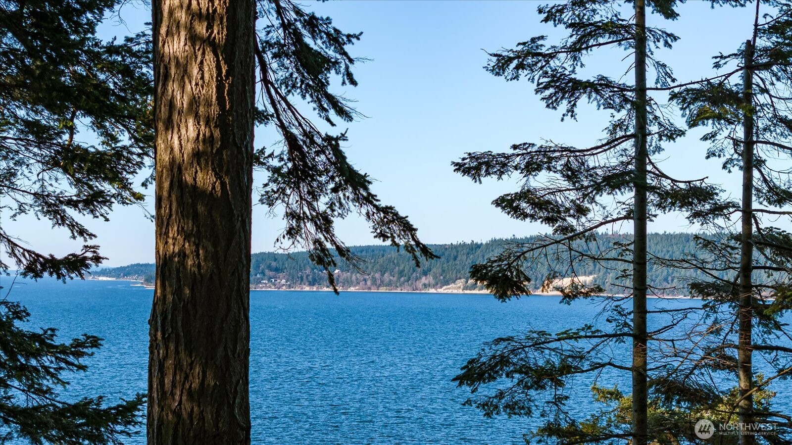 3155 Fox Spit Road , Langley, WA 98260