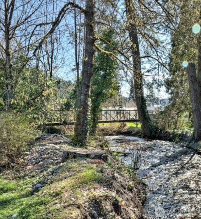 30 NE Brook Place , Tahuya, WA 98588 - Photo 13