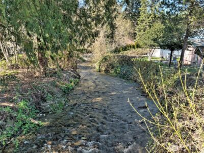 30 NE Brook Place , Tahuya, WA 98588 - Photo 14