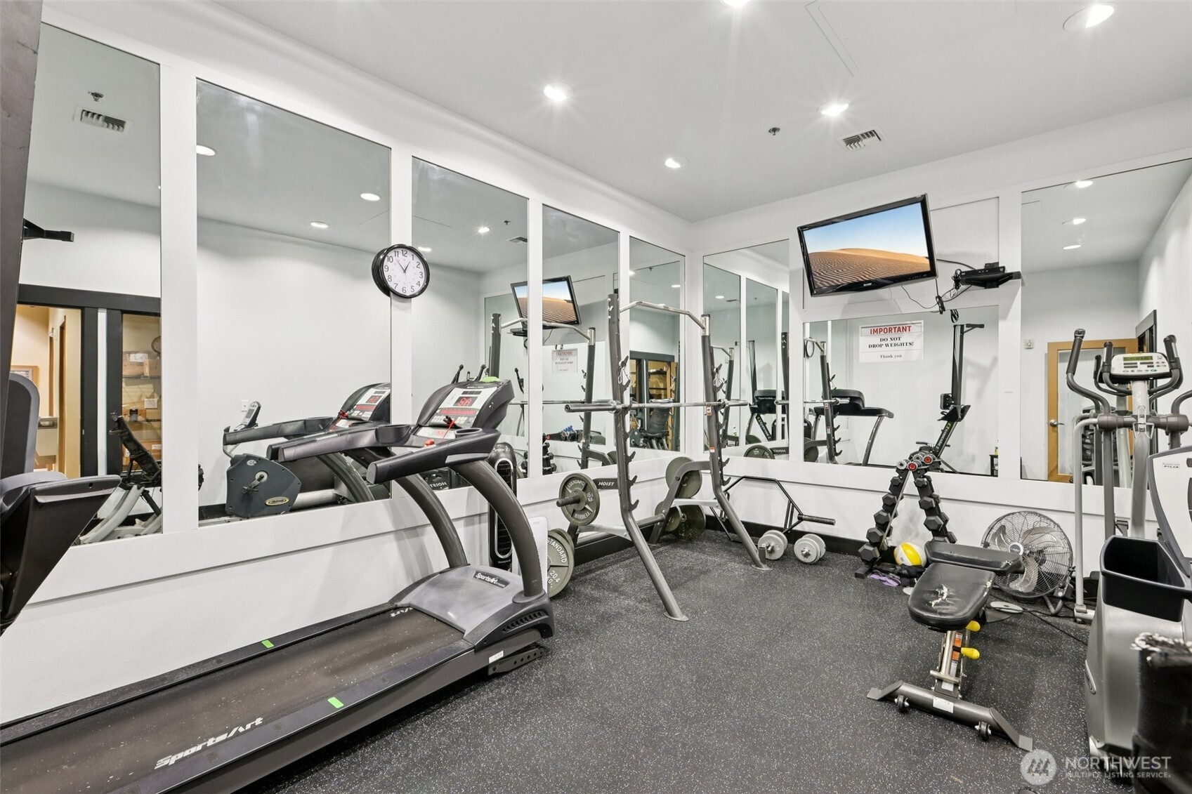 5650 24th Avenue NW #206, Seattle, WA 98107