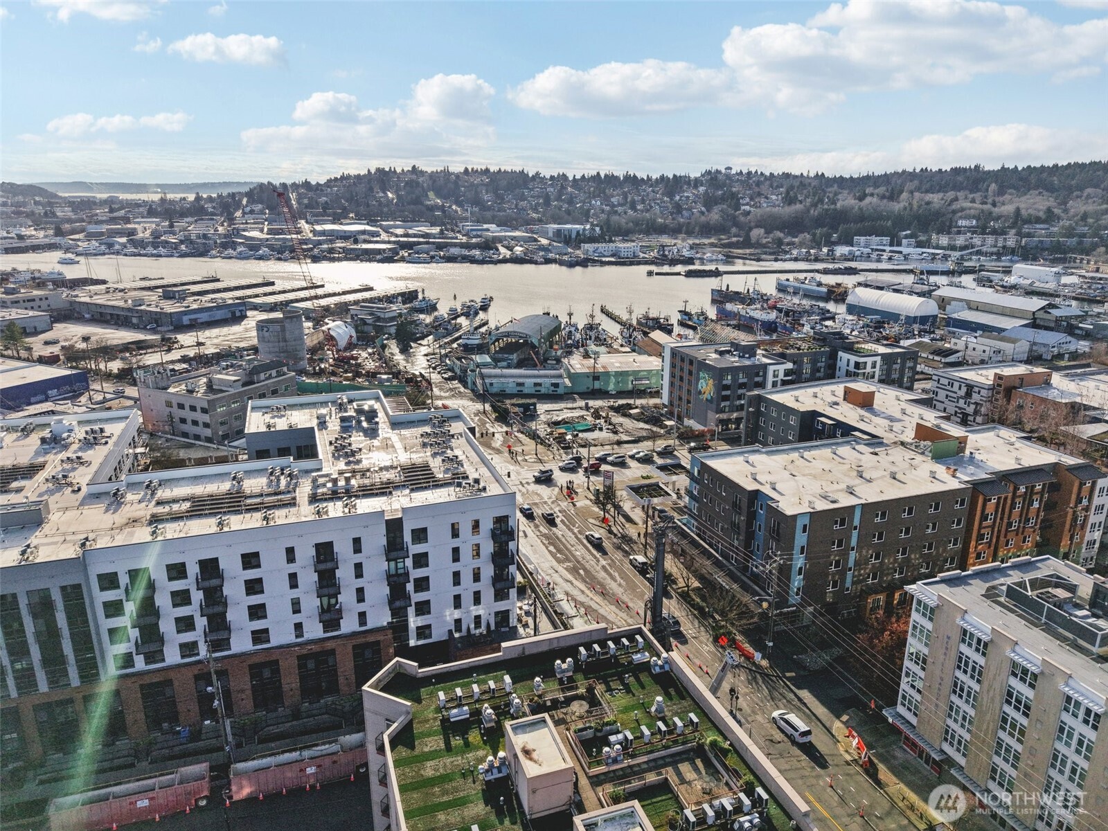 5650 24th Avenue NW #206, Seattle, WA 98107