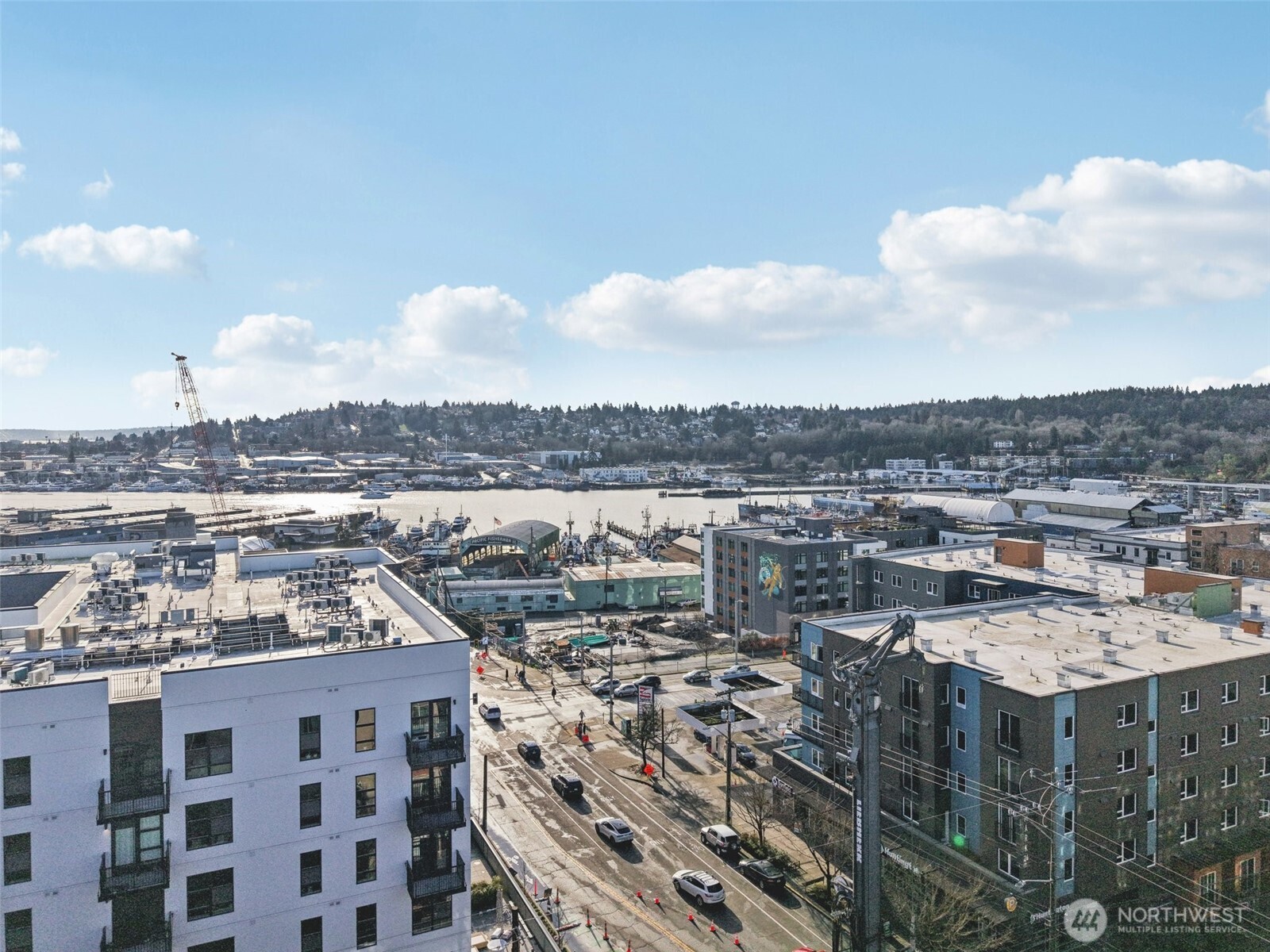 5650 24th Avenue NW #206, Seattle, WA 98107