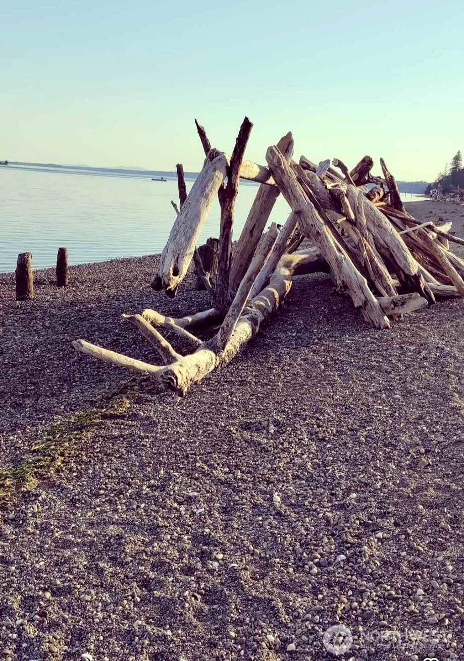 16017 72nd Street SW, Longbranch, WA 98351