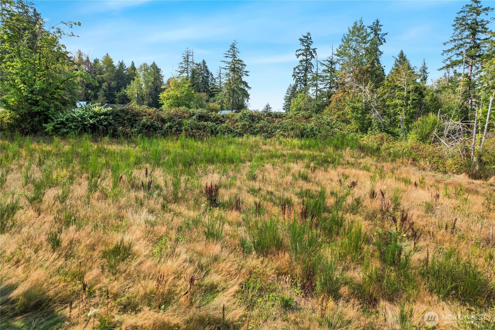 130 E Tacoma Street , Union, WA 98592-9805