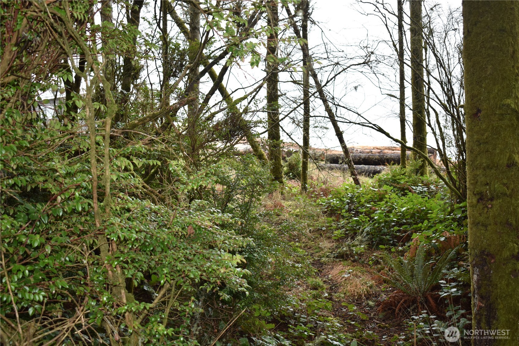 781 Mariner Court SE, Ocean Shores, WA 98569