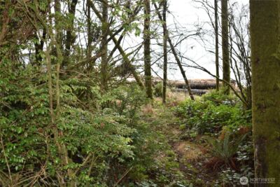 781 Mariner Court SE, Ocean Shores, WA 98569 - Photo 13