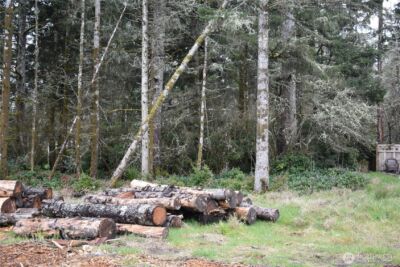 781 Mariner Court SE, Ocean Shores, WA 98569 - Photo 14