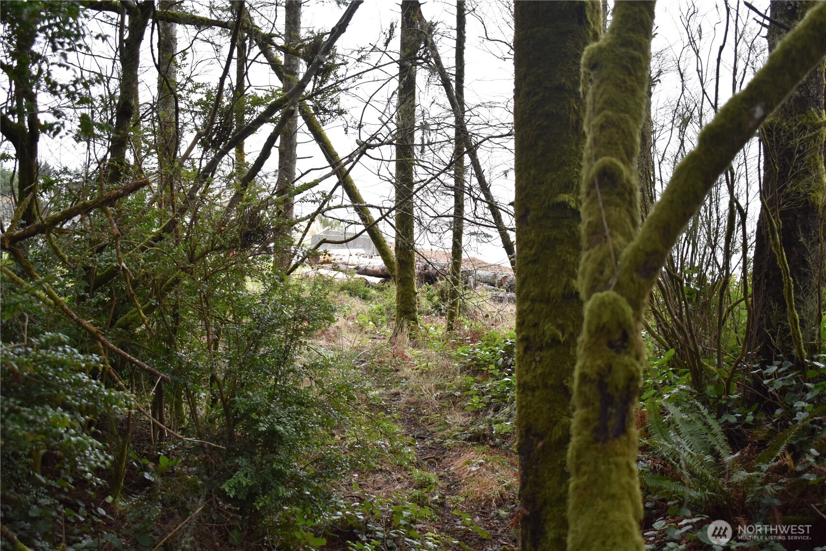 781 Mariner Court SE, Ocean Shores, WA 98569