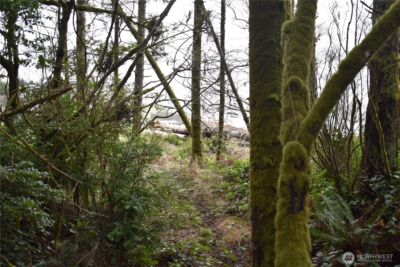 781 Mariner Court SE, Ocean Shores, WA 98569 - Photo 15