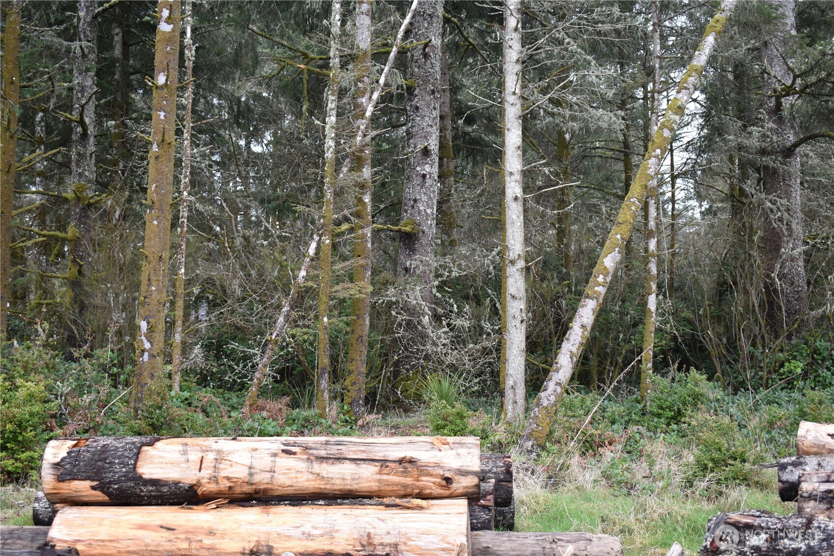 781 Mariner Court SE, Ocean Shores, WA 98569