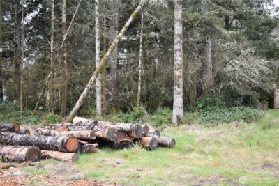 781 Mariner Court SE, Ocean Shores, WA 98569 - Photo 17