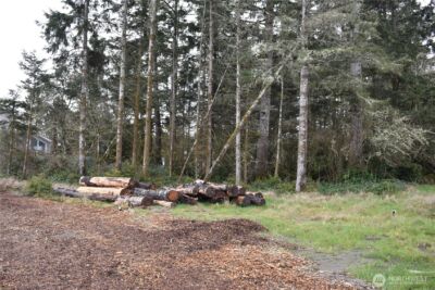 781 Mariner Court SE, Ocean Shores, WA 98569 - Photo 18