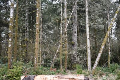 781 Mariner Court SE, Ocean Shores, WA 98569 - Photo 19