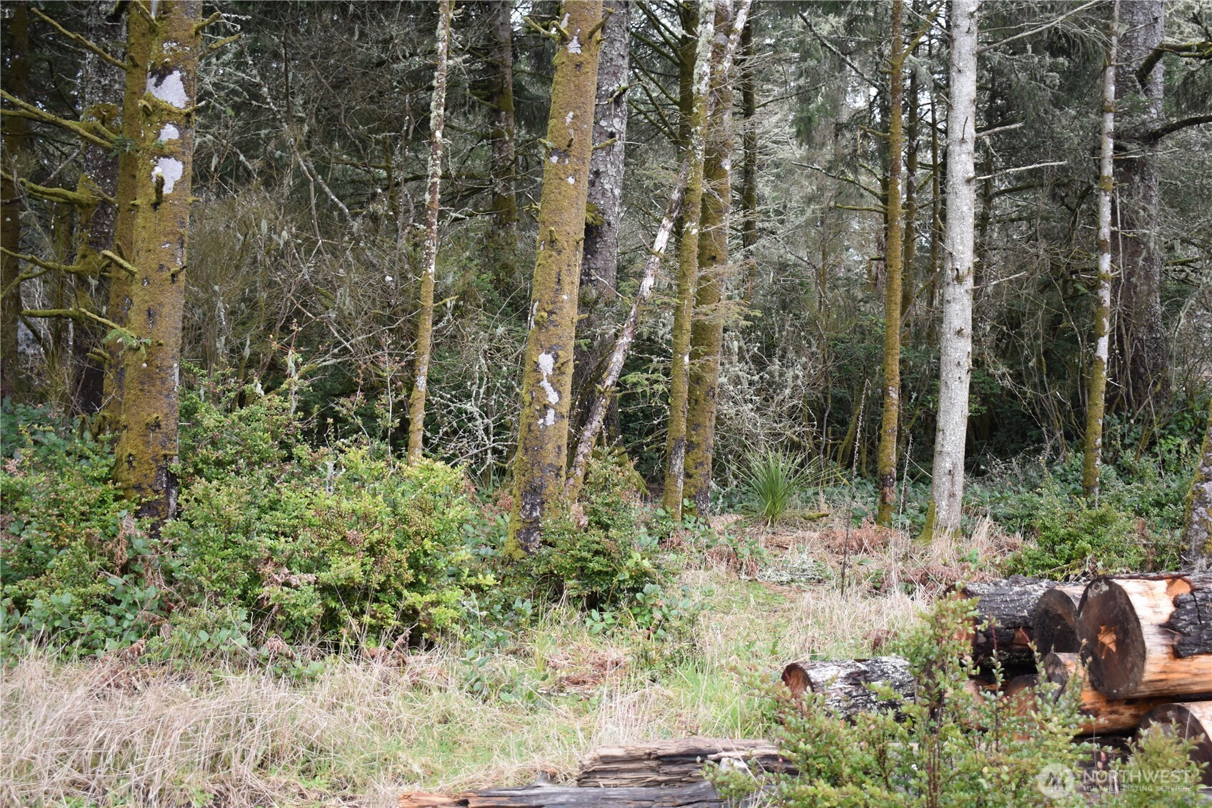 781 Mariner Court SE, Ocean Shores, WA 98569