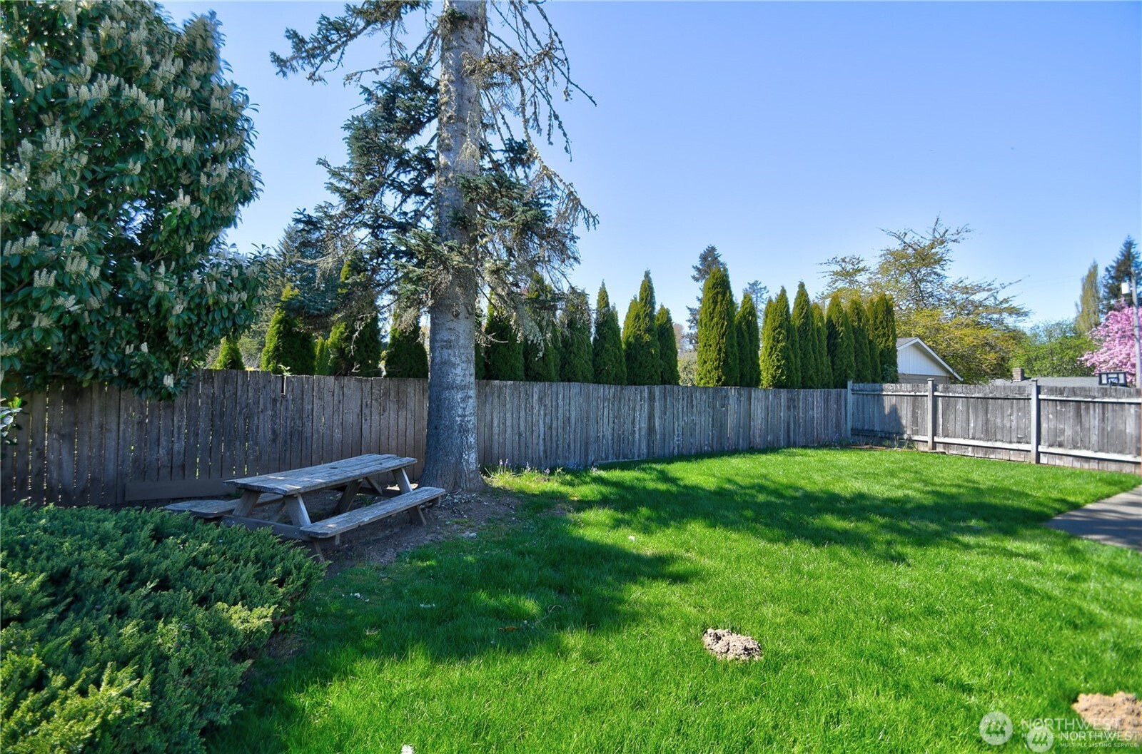 4107 Lloyd Street SE #A/B, Tumwater, WA 98501