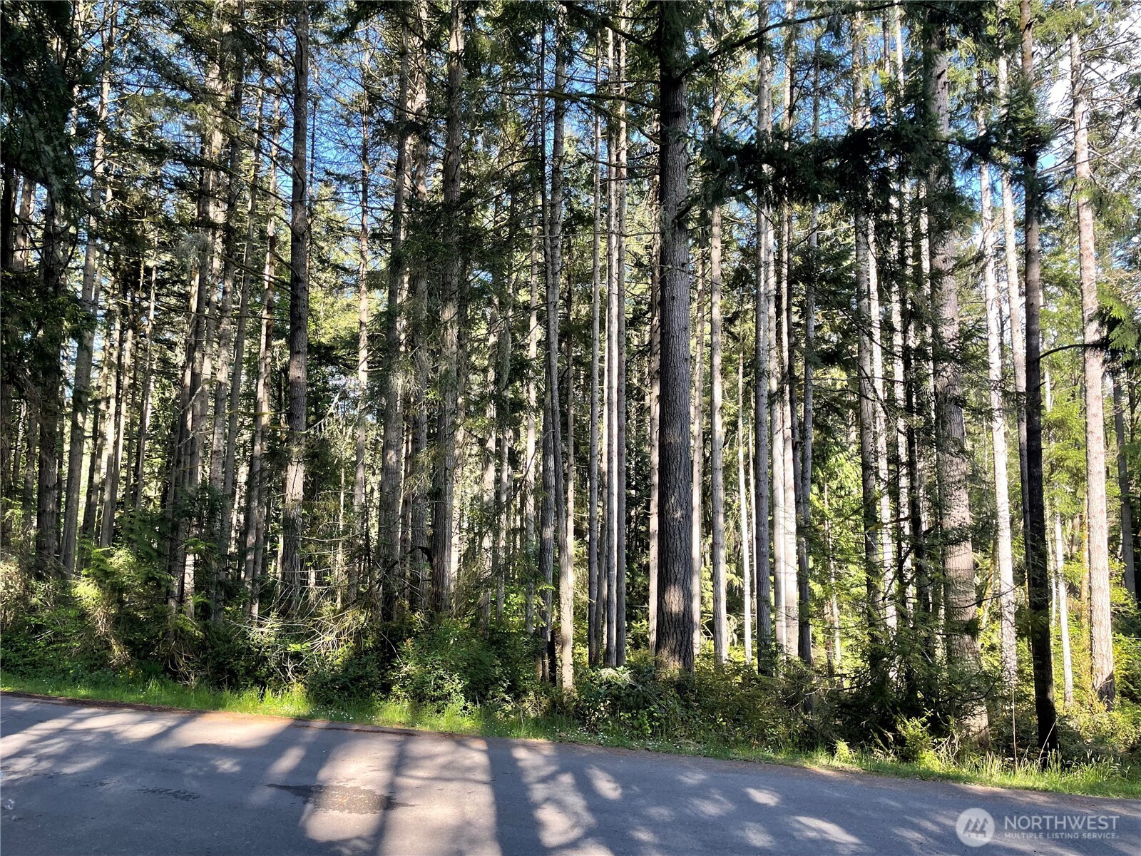 11024 Cascade Place , Anderson Island, WA 98303-9615