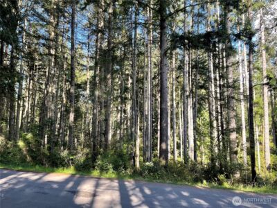 11024 Cascade Place , Anderson Island, WA 98303-9615