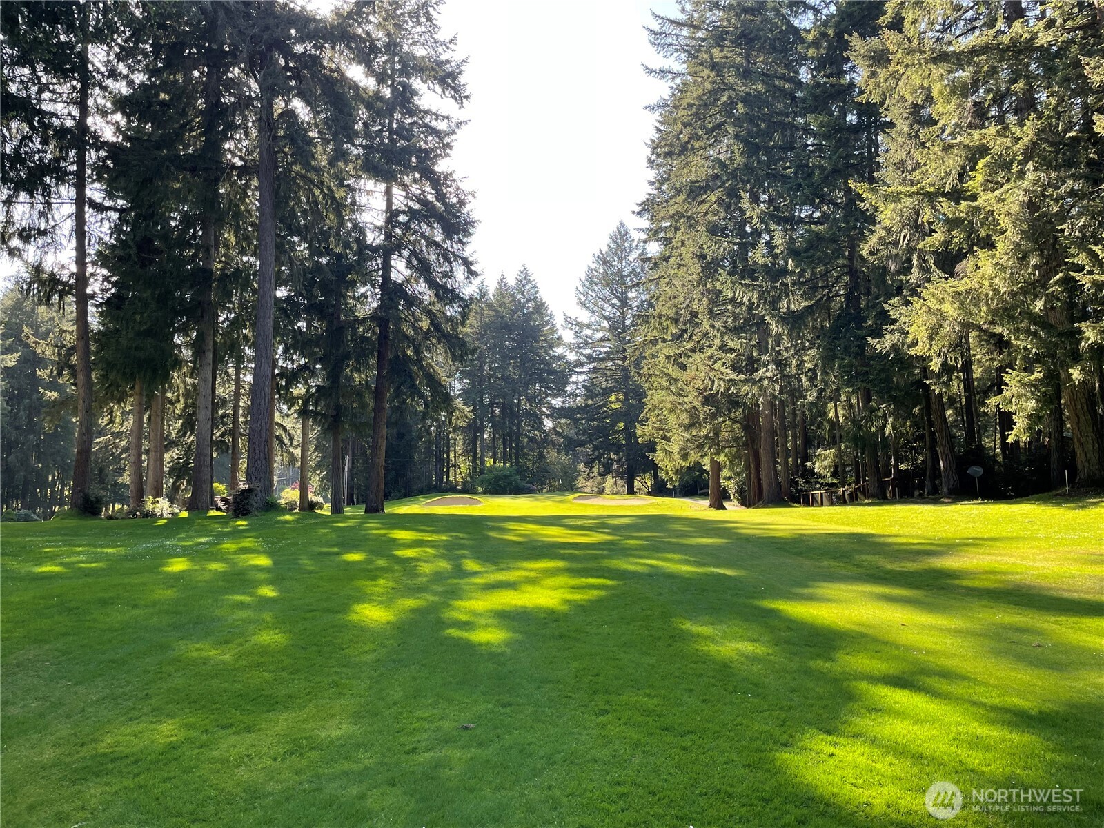 11024 Cascade Place , Anderson Island, WA 98303-9615