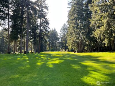 11024 Cascade Place , Anderson Island, WA 98303-9615 - Photo 4